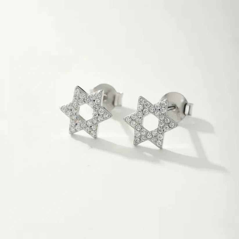 Women's Star of David Earrings feminine